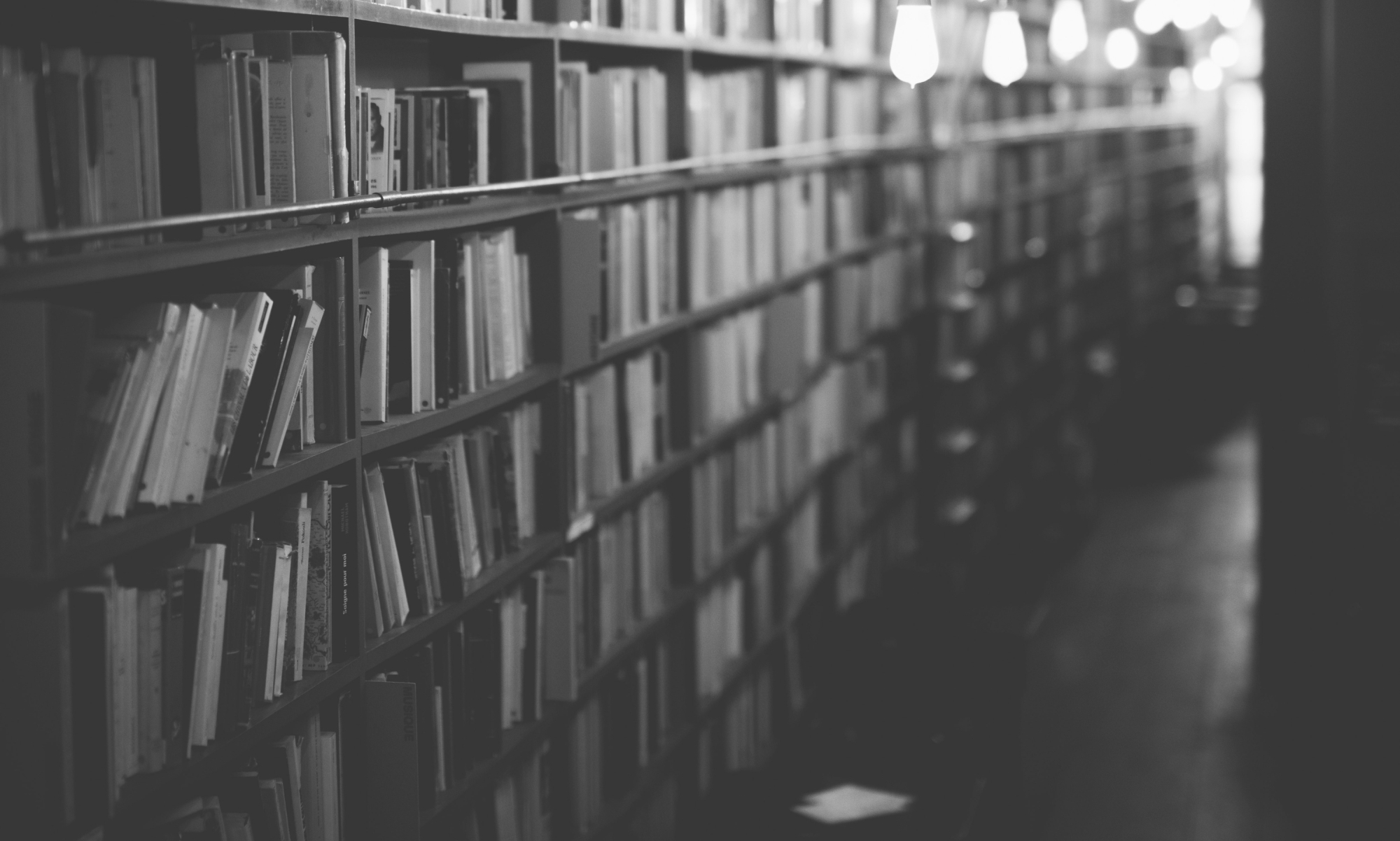 Bookshelves with Edison Lights