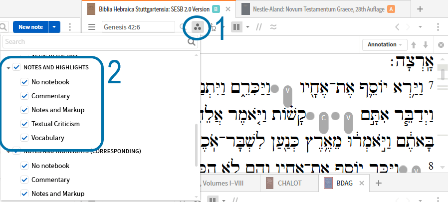 Notebook visual filter modification