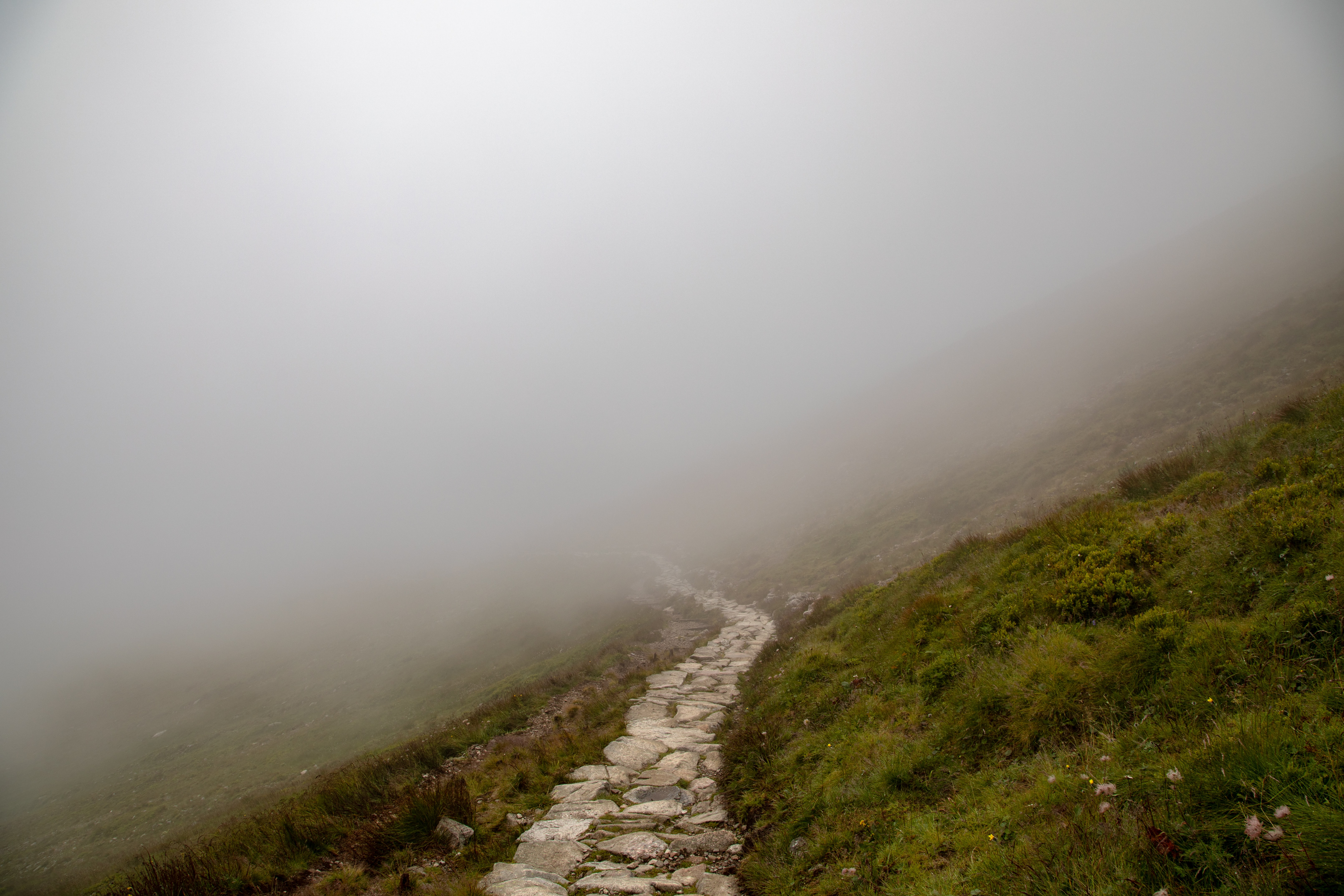 Stone Path in the Fog
